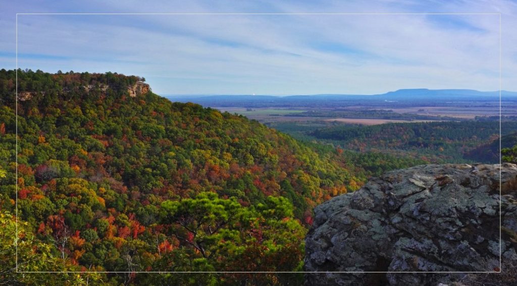 Homepage Highlands at Elm Springs